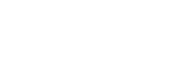 The Travelwrap Company logo